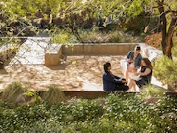 Three students sitting in a shaded green space surrounded by plants