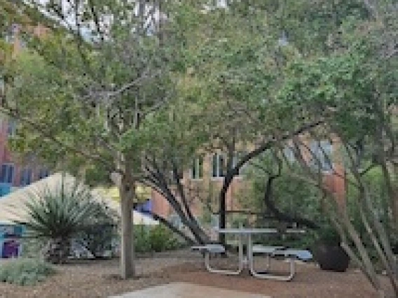 Table with space for a wheelchair underneath desert foliage outside of a brick building.