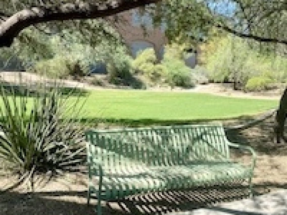Green bench with a rolling grassy space behind